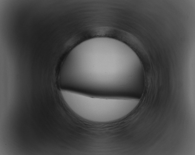 X0000098090216200804040733