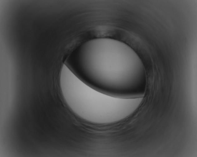 X0000098090219200804040733