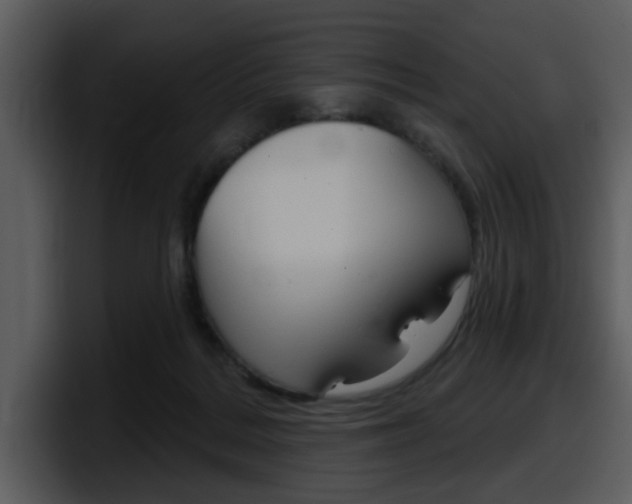 X0000098090220200804040733