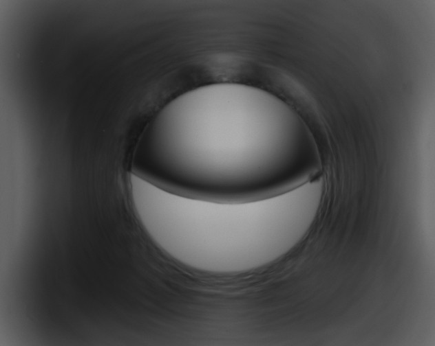X0000098090221200804040733