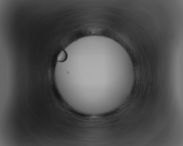 X0000098090222200804040733