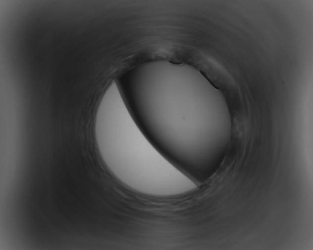 X0000098090223200804040733