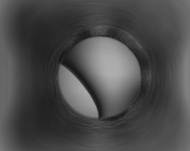 X0000098090224200804040733