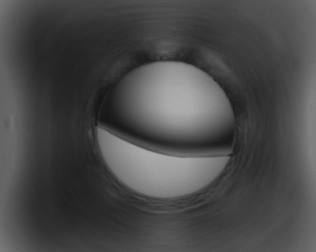 X0000098090225200804040733