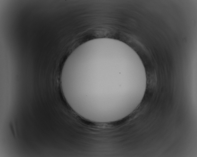 X0000098090226200804040733