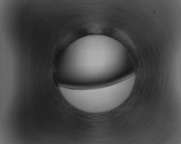X0000098090229200804040733