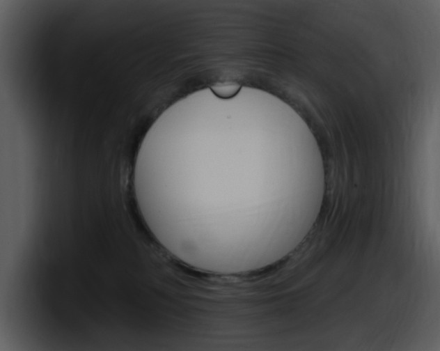 X0000098090230200804040733