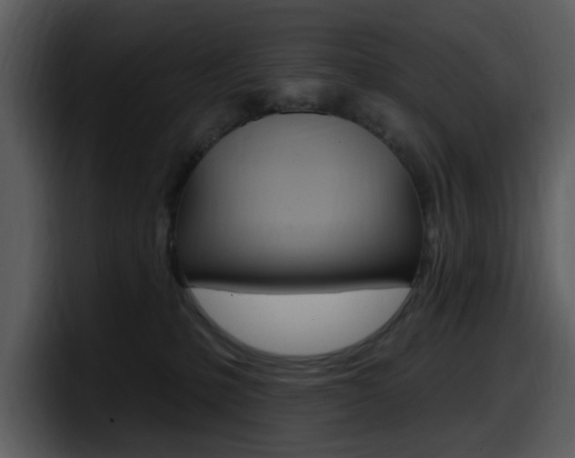 X0000098090231200804040733