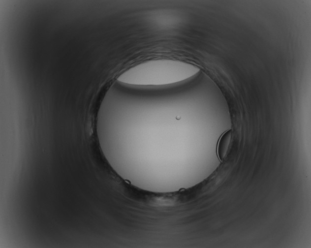 X0000098090232200804040733