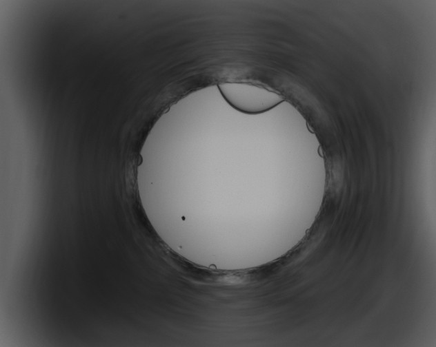 X0000098090236200804040732