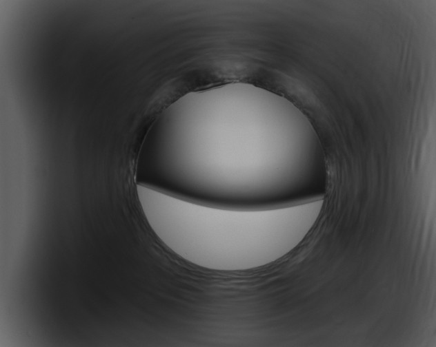 X0000098090237200804040732