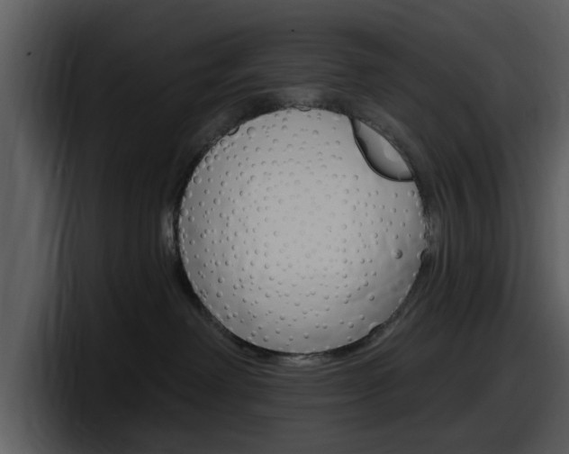X0000098090238200804040732