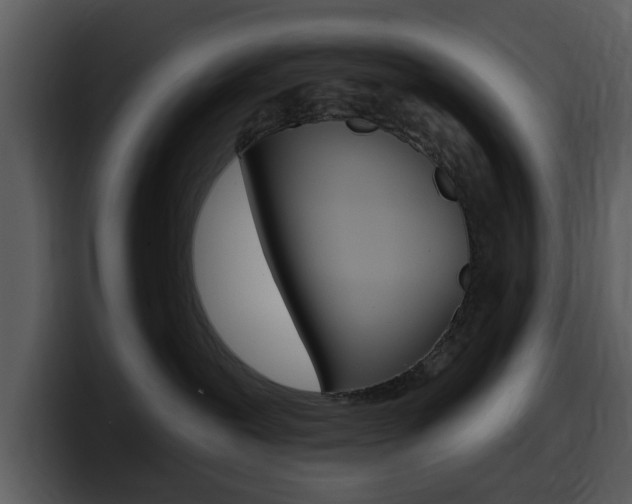X0000098090239200804040732