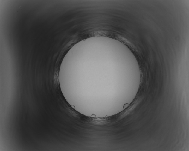 X0000098090240200804040732