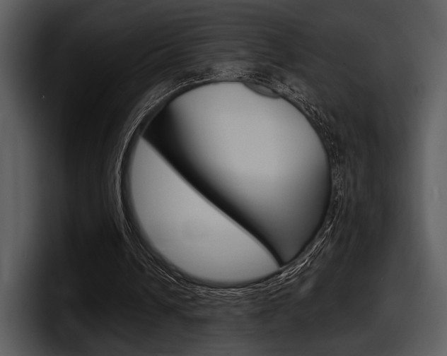 X0000098090242200804040732