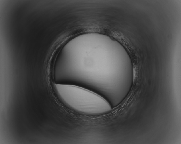 X0000098090243200804040732
