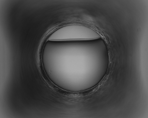 X0000098090245200804040732