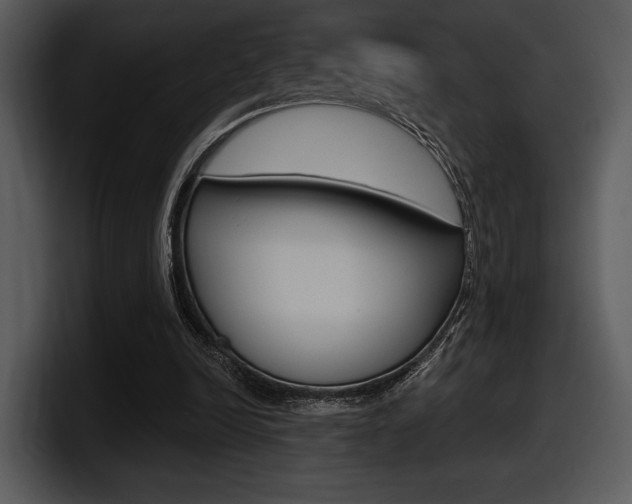 X0000098090246200804040732