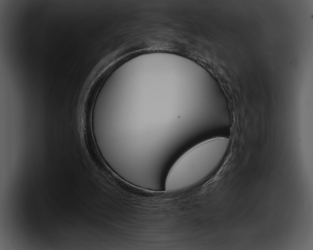 X0000098090247200804040732