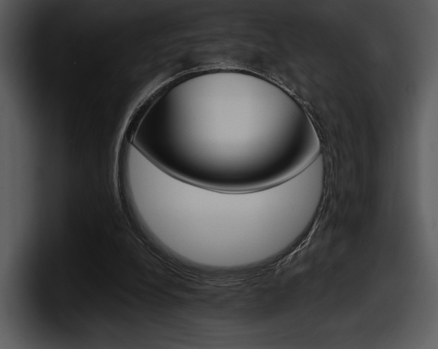 X0000098090248200804040732