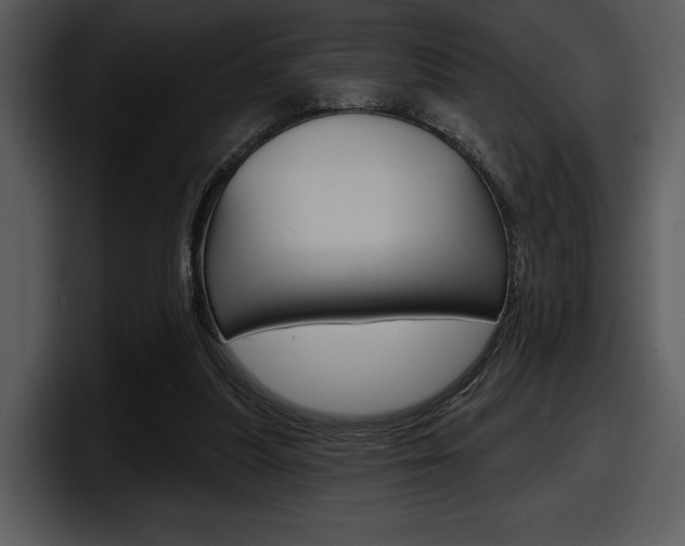 X0000098090251200804040732