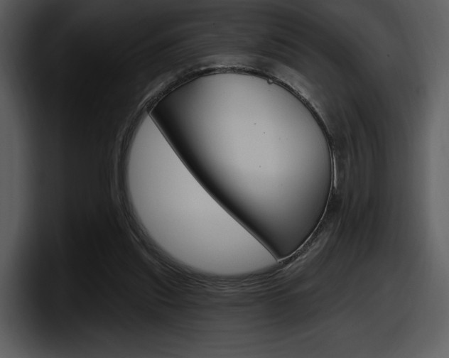 X0000098090253200804040732
