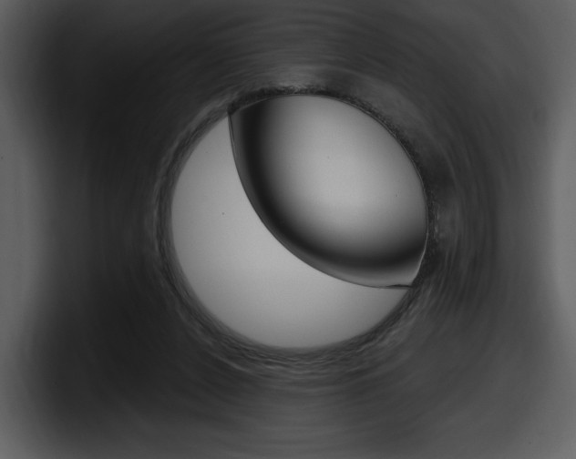 X0000098090256200804040732
