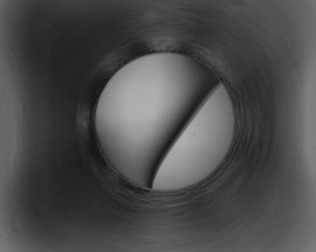 X0000098090263200804040732