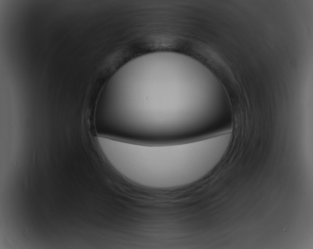 X0000098090264200804040732