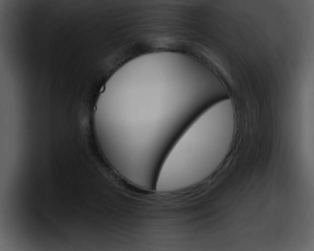 X0000098090265200804040732