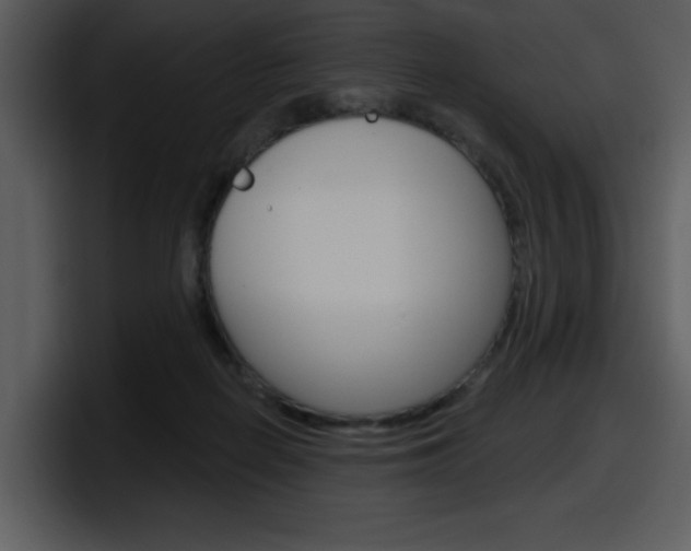 X0000098090266200804040732
