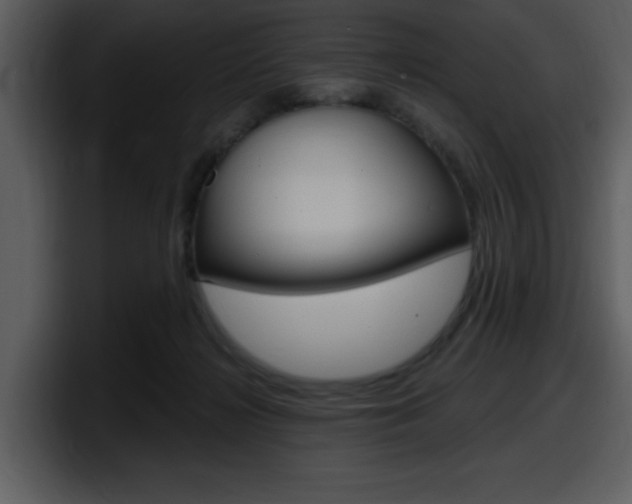 X0000098090268200804040732