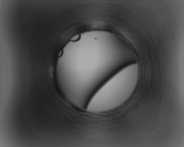 X0000098090269200804040732