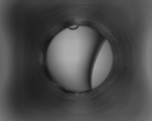 X0000098090270200804040732