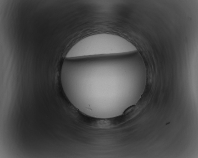 X0000098090279200804040732