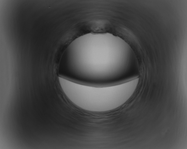 X0000098090280200804040732