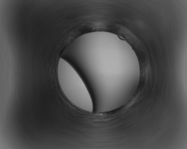 X0000098090281200804040732
