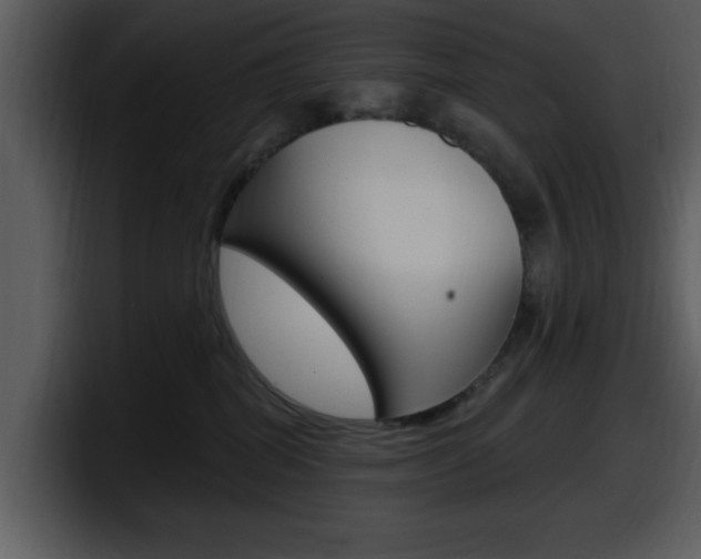 X0000098090282200804040732