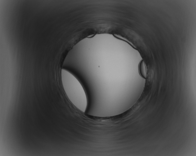 X0000098090283200804040732