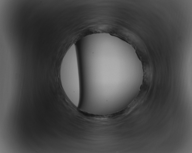 X0000098090284200804040732