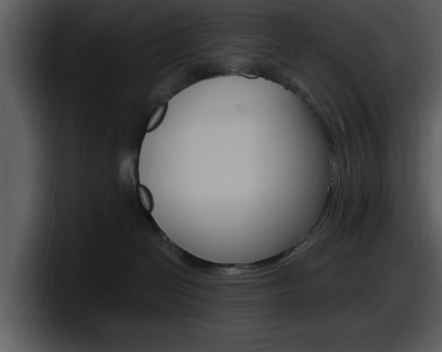 X0000098090286200804040732