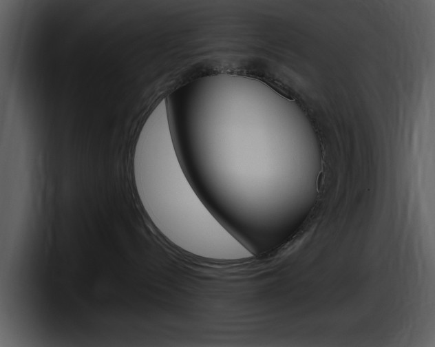 X0000098090288200804040732