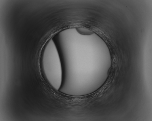 X0000098090290200804040732