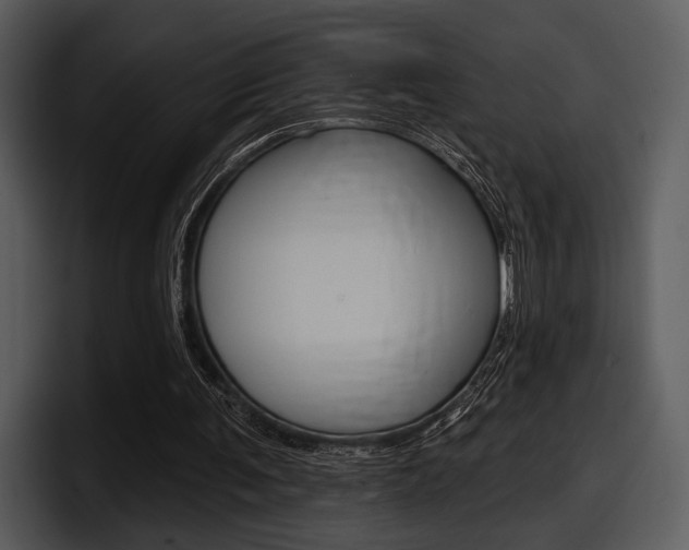 X0000098090291200804040732