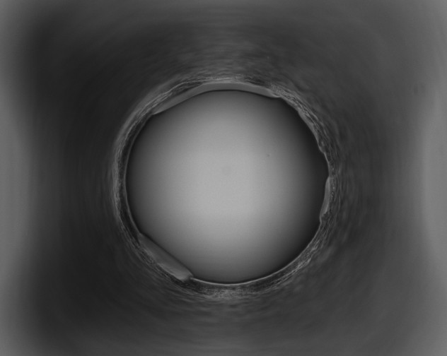 X0000098090293200804040732