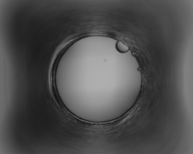 X0000098090294200804040732
