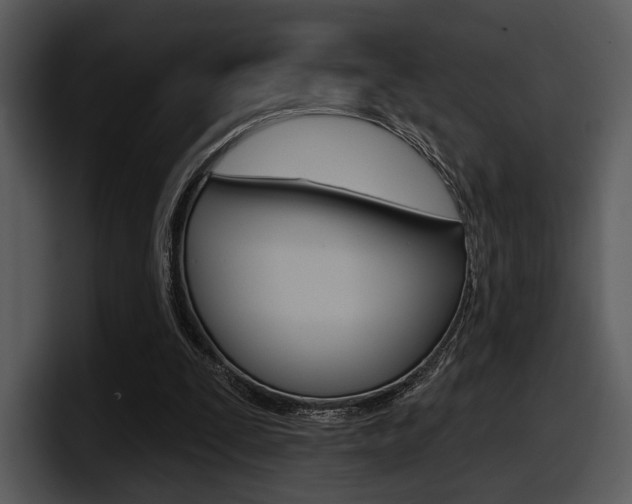 X0000098090295200804040732