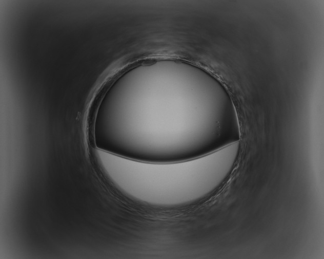 X0000098090296200804040732
