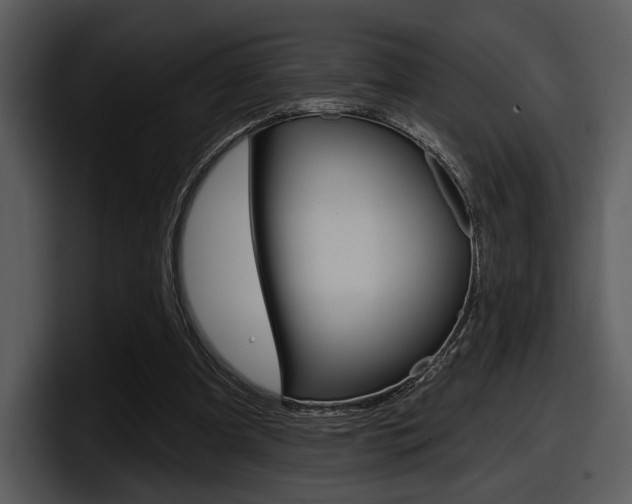 X0000098090297200804040732
