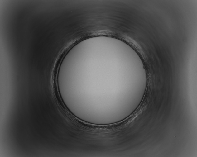 X0000098090298200804040732